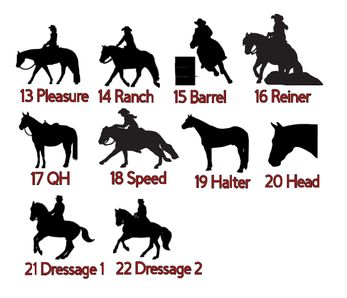 Barn items - personalized English helmet bag case