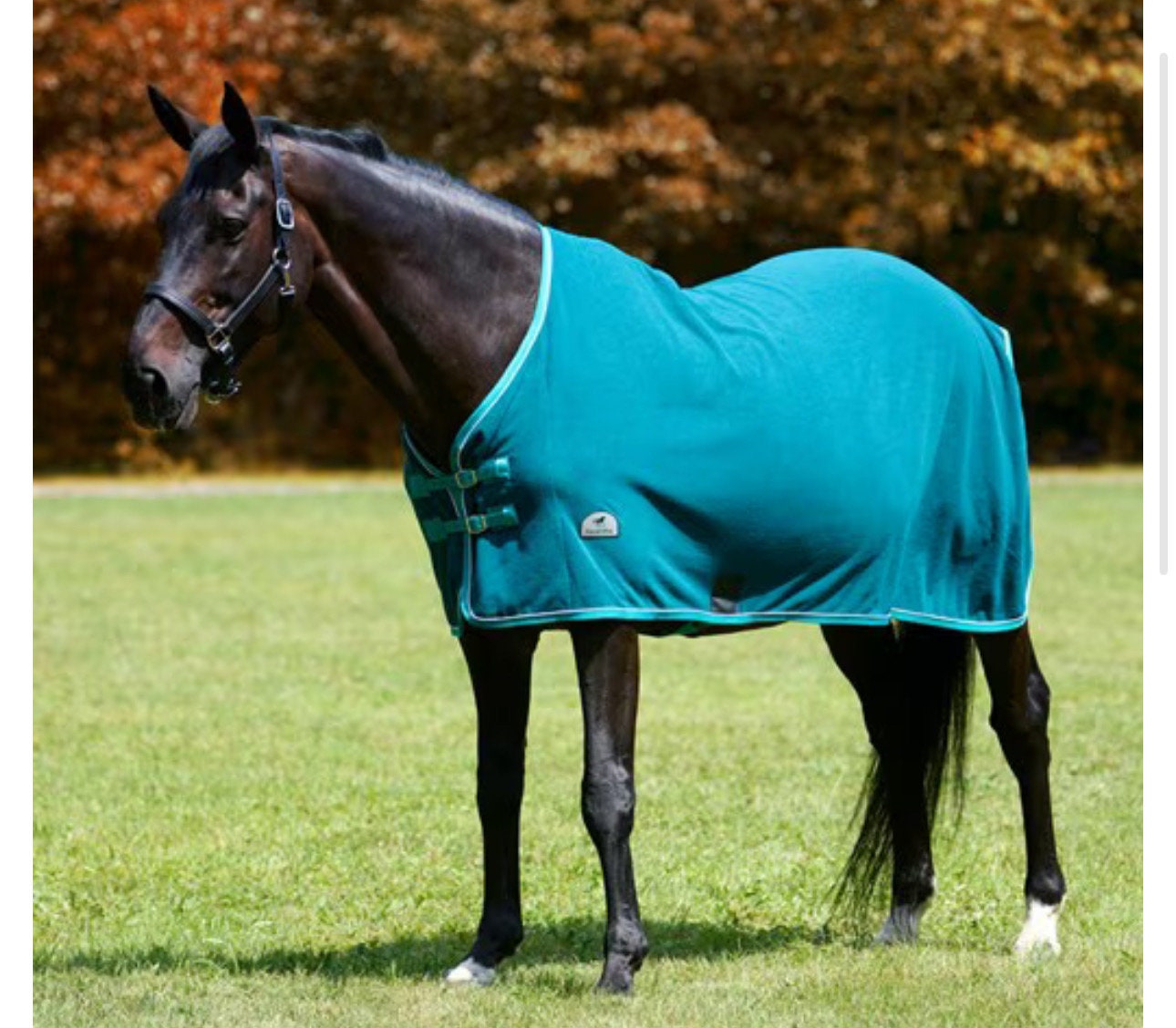 Custom Personalized Horse Pony Sheet Fleece Cooler - Design and Name