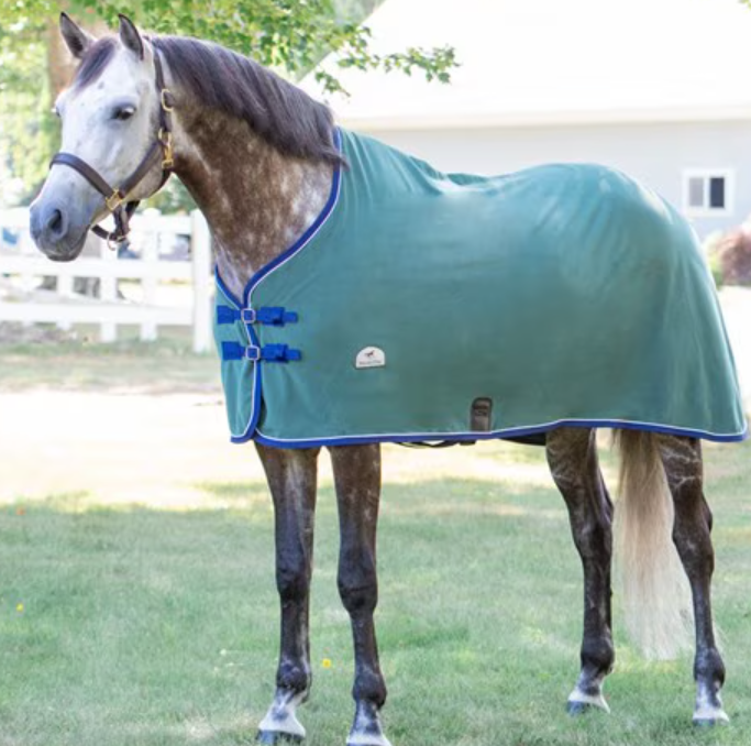 Rhinestone Stables Cooler