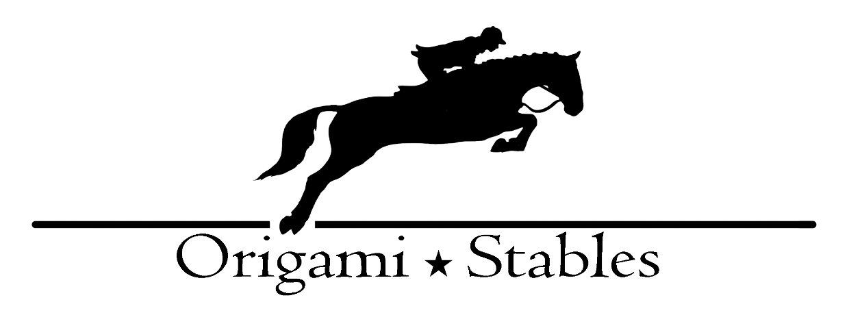 Origami Stables - Womens Hoody