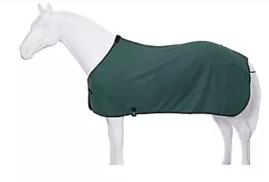 Rhinestone Stables Cooler 2