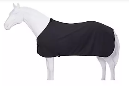 Rhinestone Stables Cooler 2