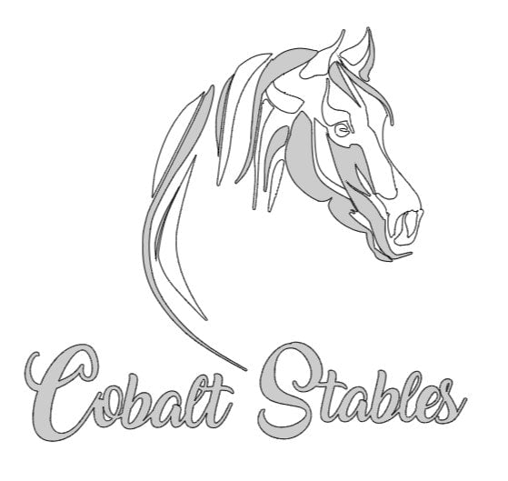 Cobalt Stables - Youth Hoody