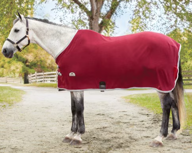 Rhinestone Stables Cooler