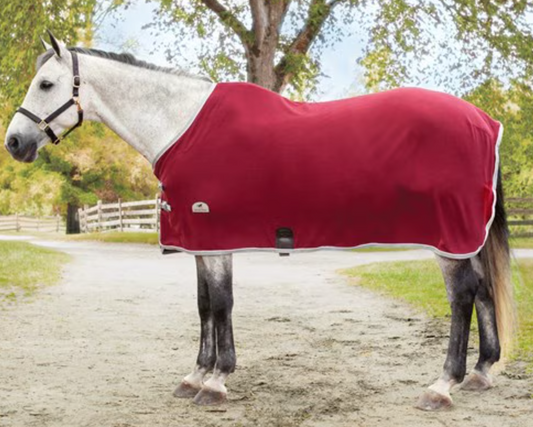 Rhinestone Stables Cooler