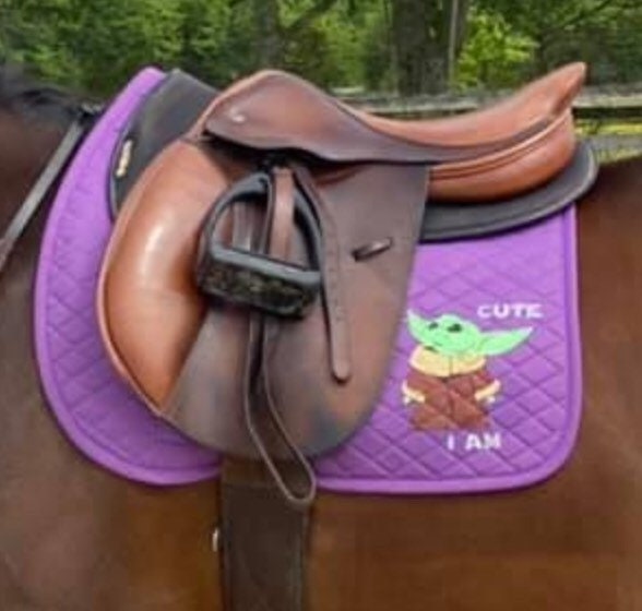 Custom Horse English Saddle Pad - Baby Yoda, No Touchy, Groot, Stitch & Quarantine