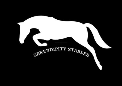 Serendipity Stables - YOUTH Hoody